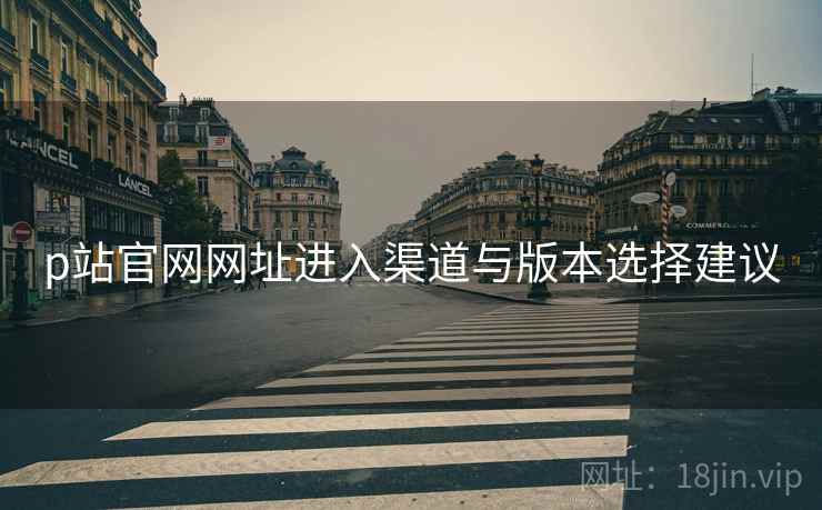 p站官网网址进入渠道与版本选择建议