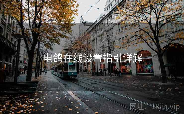 电鸽在线设置指引详解