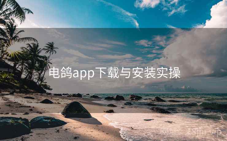 电鸽app下载与安装实操