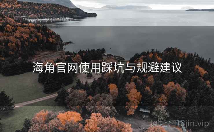 海角官网使用踩坑与规避建议