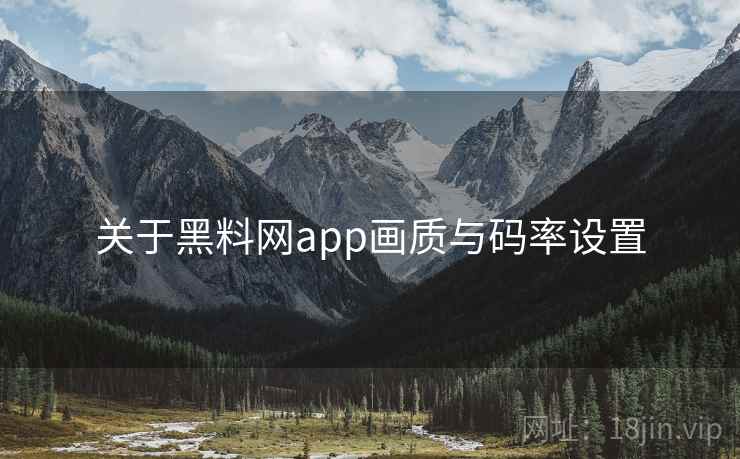 关于黑料网app画质与码率设置