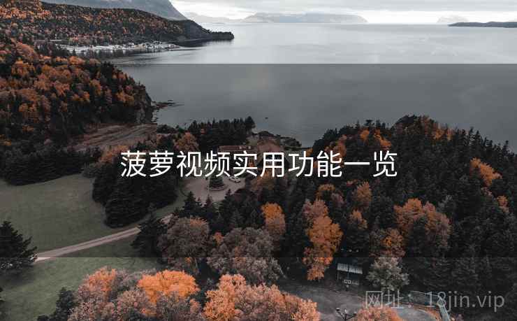 菠萝视频实用功能一览