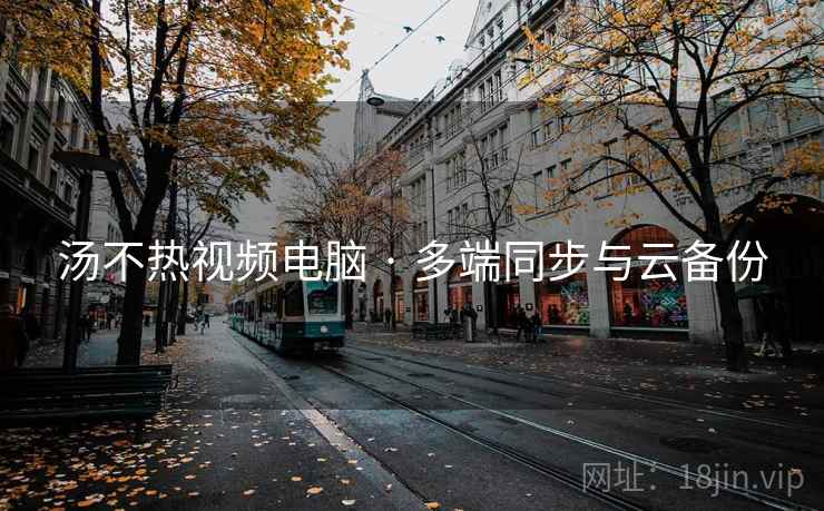 汤不热视频电脑 · 多端同步与云备份
