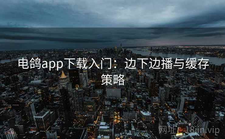 电鸽app下载入门：边下边播与缓存策略