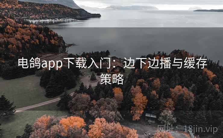 电鸽app下载入门：边下边播与缓存策略