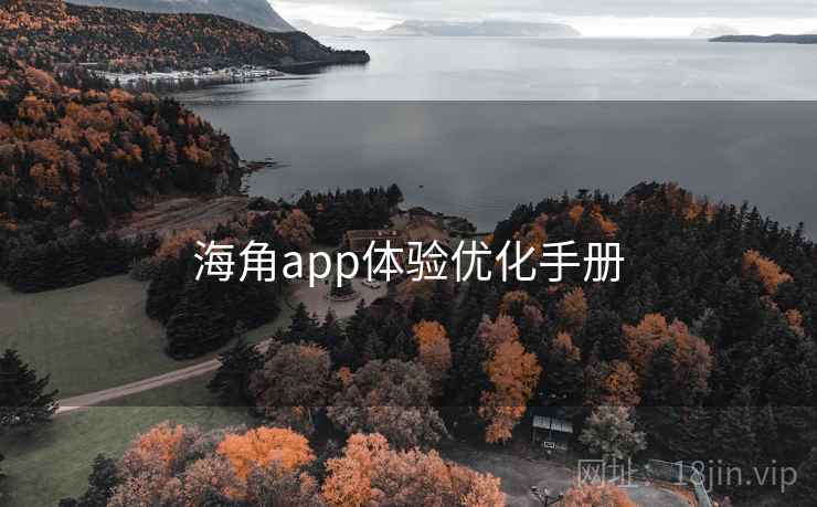 海角app体验优化手册